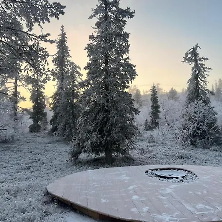 Arctic Luxury Gielas B3 Ski-in Ski-out By Aavalevi Levi