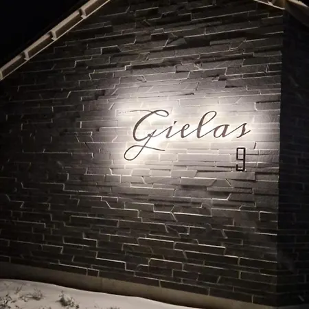 Apartmán Arctic Luxury Gielas B3 Ski-in Ski-out By Aavalevi