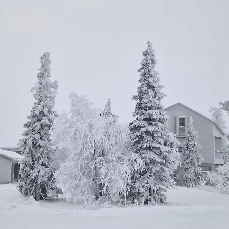 Arctic Luxury Gielas B3 Ski-in Ski-out By Aavalevi לוי