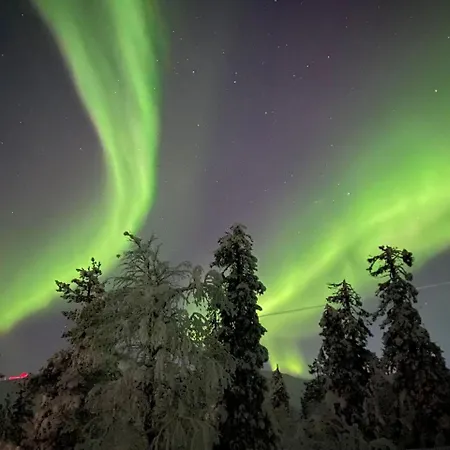 דירה Arctic Luxury Gielas B3 Ski-in Ski-out By Aavalevi לוי