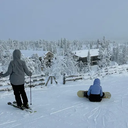 Arctic Luxury Gielas B3 Ski-in Ski-out By Aavalevi