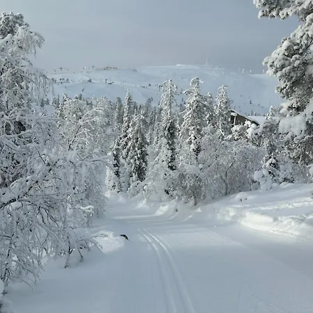 Arctic Luxury Gielas B3 Ski-in Ski-out By Aavalevi Apartment