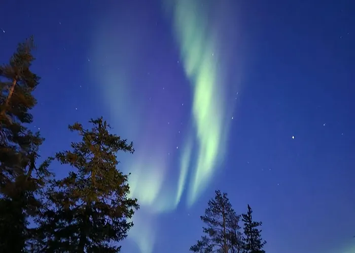 Arctic Luxury Gielas B3 Ski-in Ski-out By Aavalevi Levi